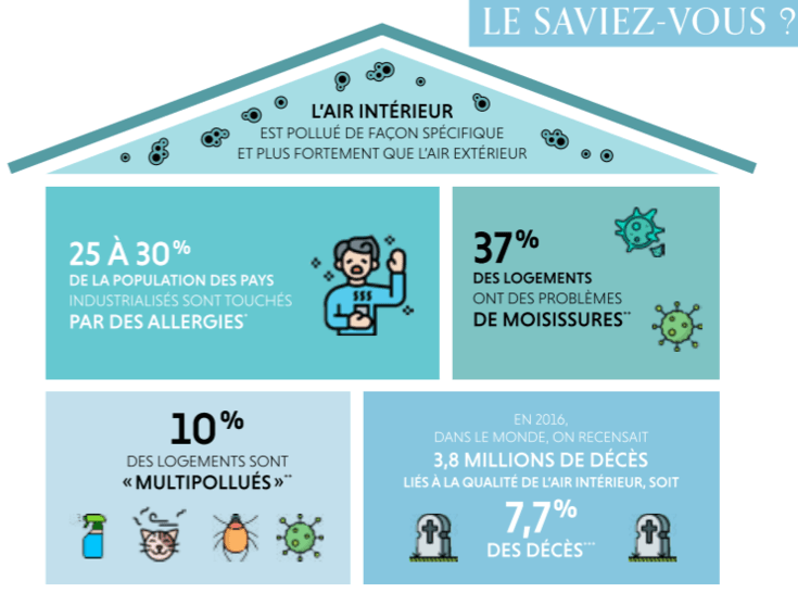 Am Liorer La Qualit De Lair Dans Son Int Rieur Carnets De Tendances